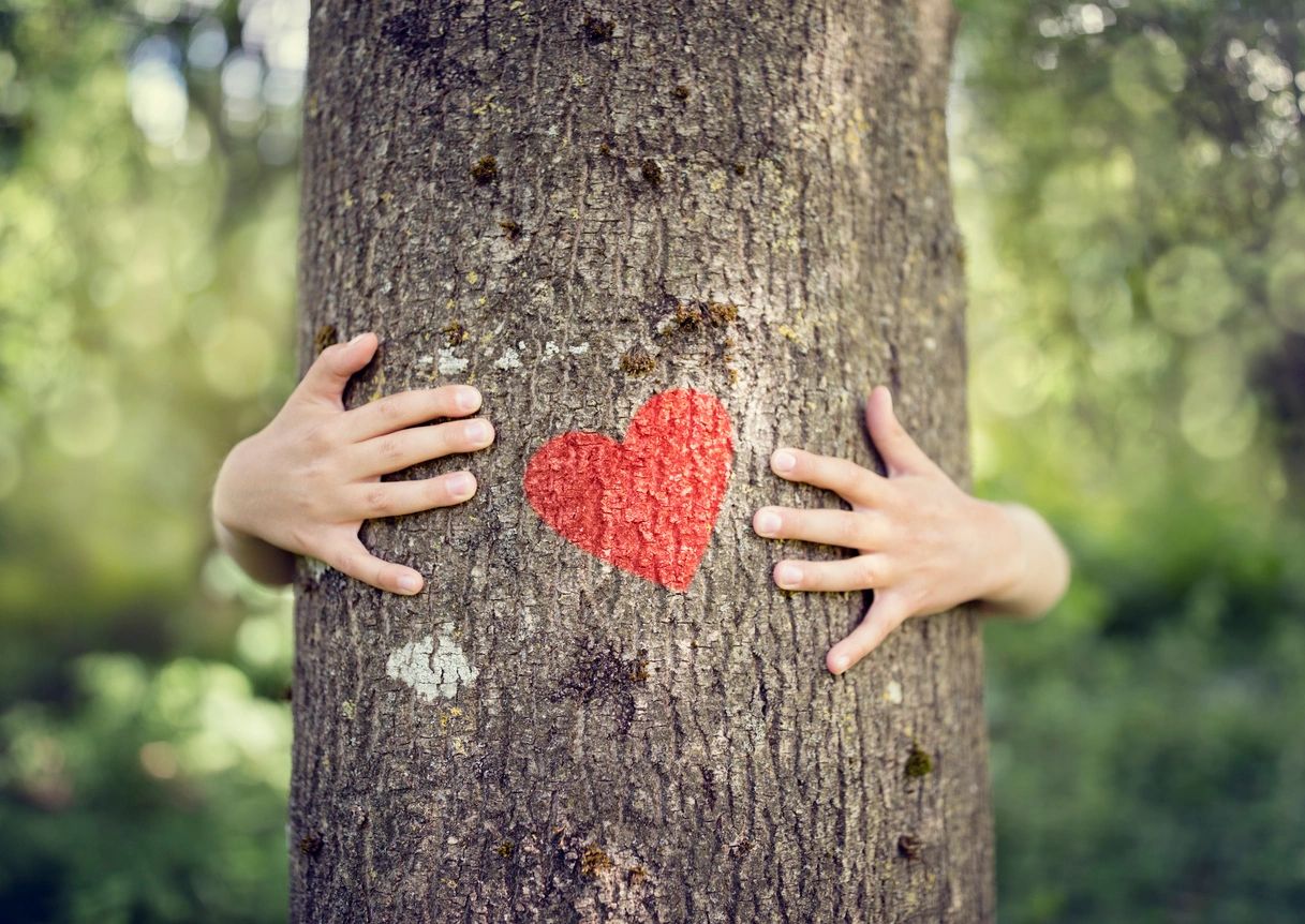 A person 's hands are on the trunk of a tree.